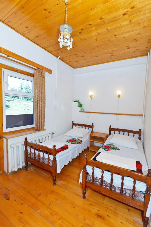 Hotel Apollon Bakuriani Phòng bức ảnh