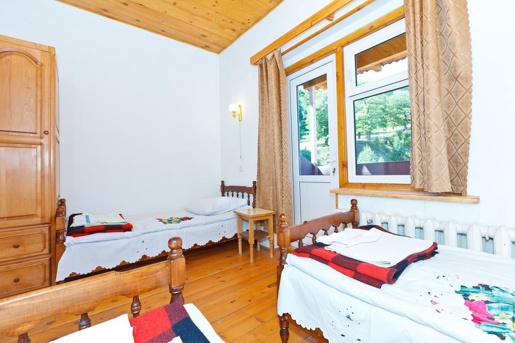 Hotel Apollon Bakuriani Phòng bức ảnh
